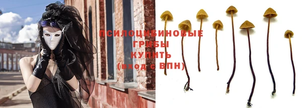 дживик Алексеевка