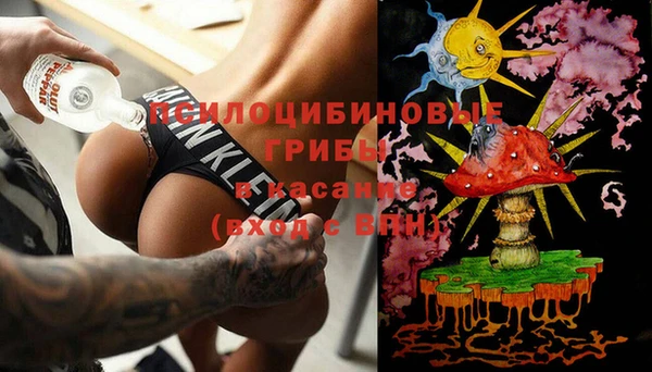 прущая мука Алзамай